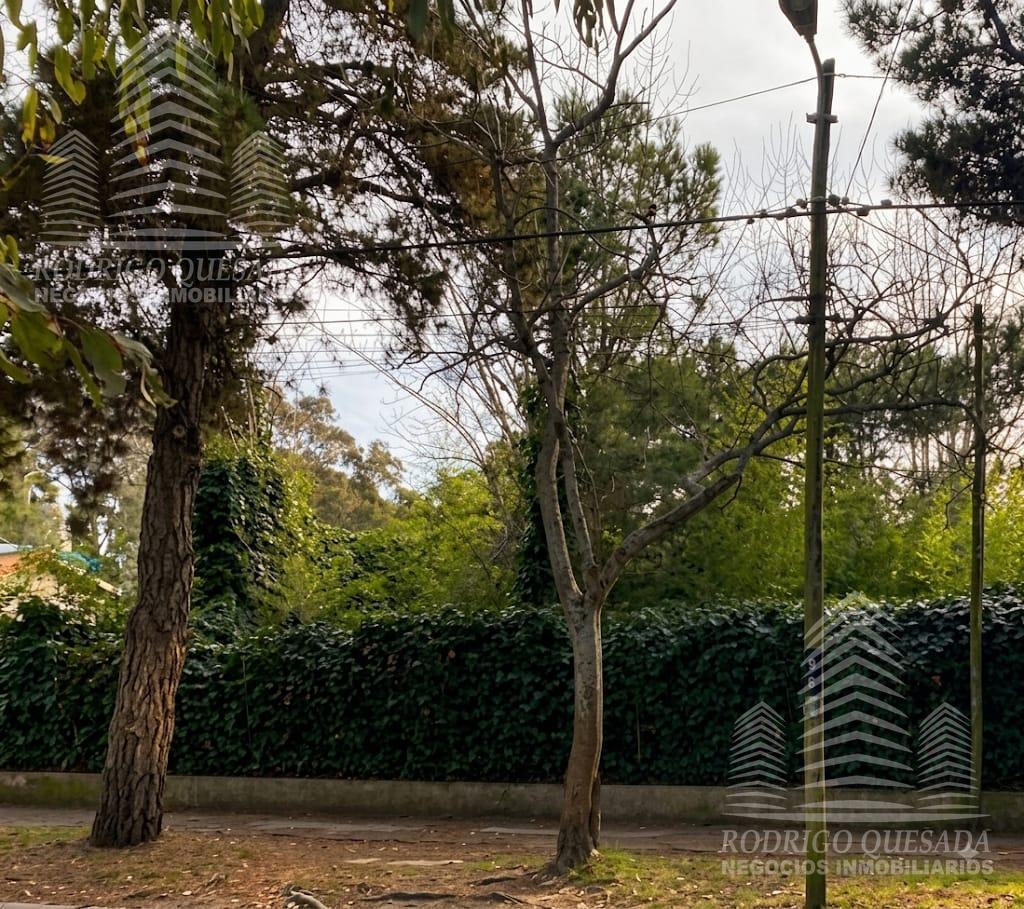 Foto de Lote es el centro d e San Bernardo, imagen 3