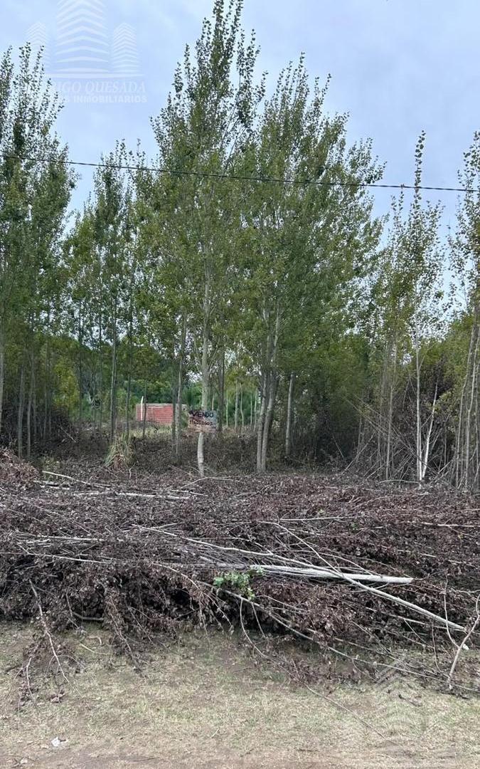Foto de AMPLIO LOTE EN NUEVA ATLANTIS !!! OPORTUNIDAD!!!, imagen 2