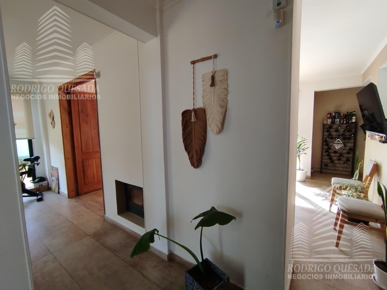 Foto de Casa moderna de categoría en San Rafael-Piscina y parque, imagen 4
