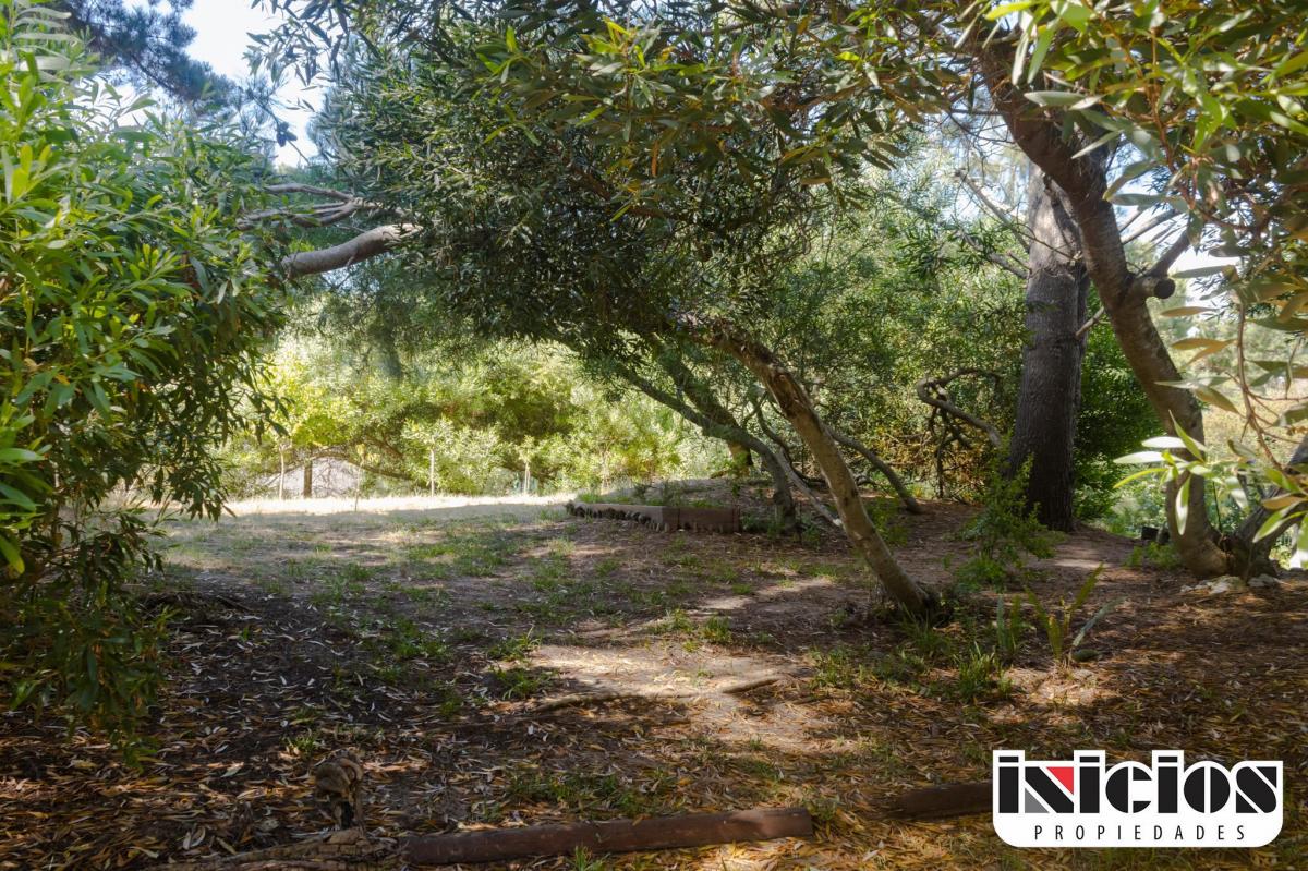 Casa en Lote: Olivero Nº 624 - Nueva Atlantis - C796 2
