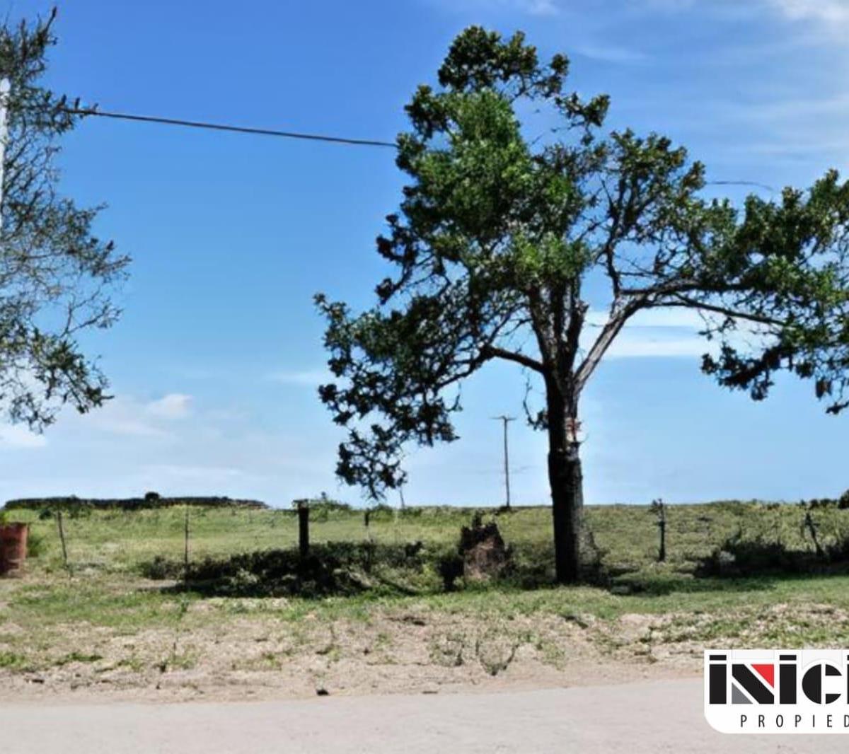 Lote: Av Roldán E/ Estanislao del Campo y Palacios - Nueva Atlantis - B275 1