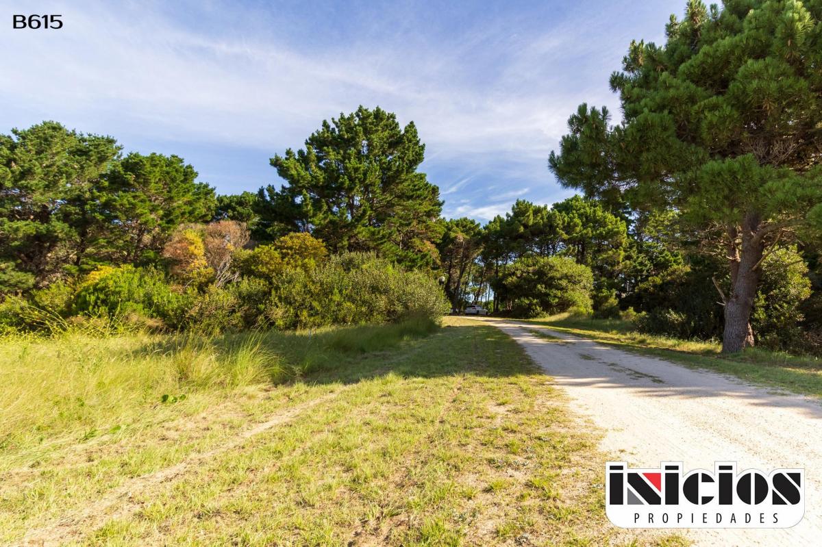 Foto de Lote: Punta Médanos - Barrio Cerrado - B615, imagen 5