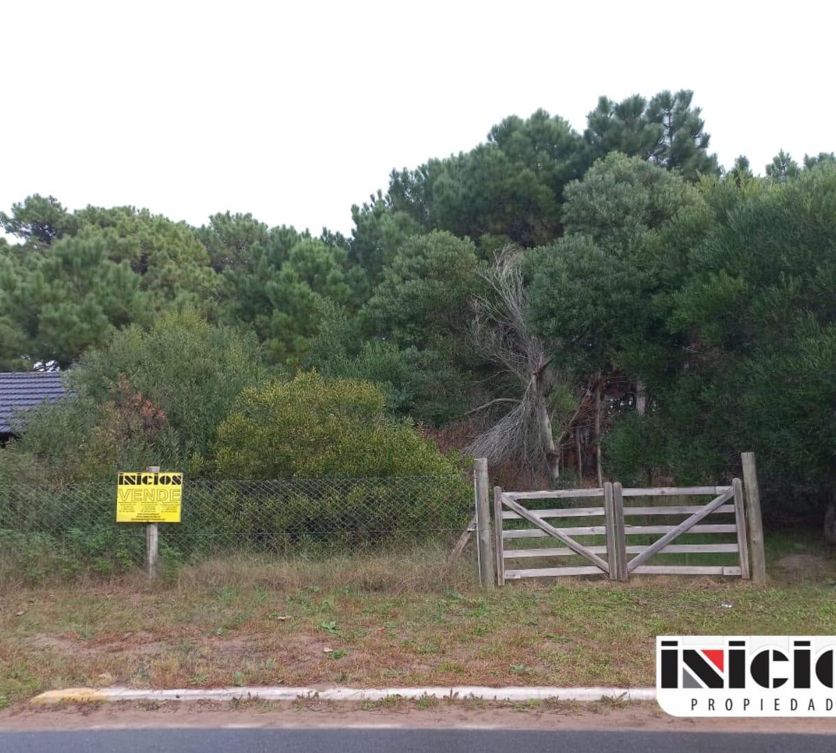 Lote: Carreras e/ Zapiola y Echeverria - El Silvio - B630
