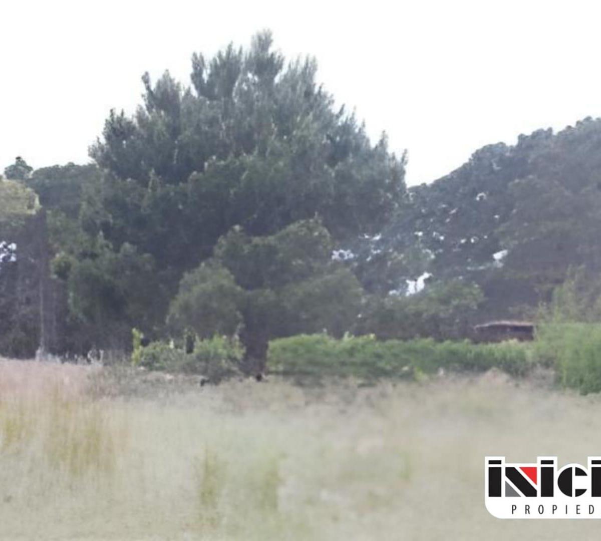 Lote: Caseros e/ Alberdi y Av. Drago - El Silvio - B465