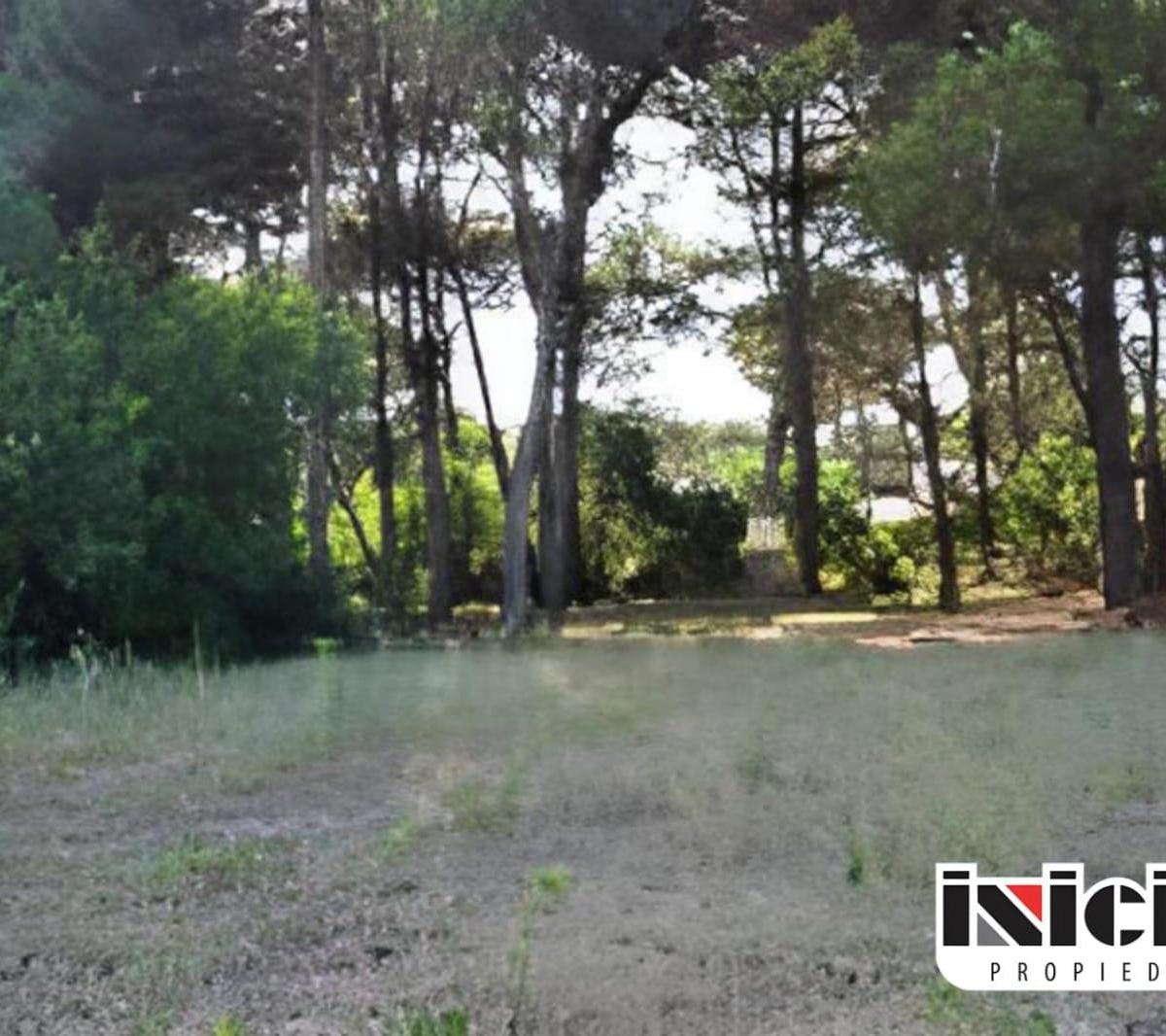 Lote: Quinteros E/ Blanco y Paso - Nueva Atlantis - B384 3