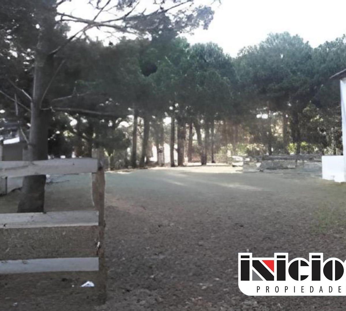 Lote: Castelli E/ Almafuerte y Cobo - Nueva Atlantis - B501 2