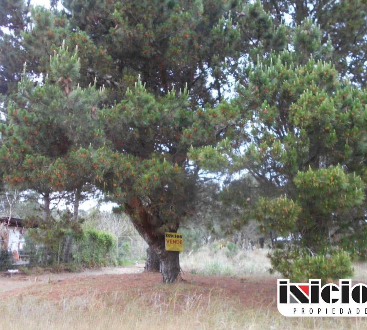 Lote: Diagonal Maipú E/ La Margarita y Dolores - Nueva Atlantis - B365 2