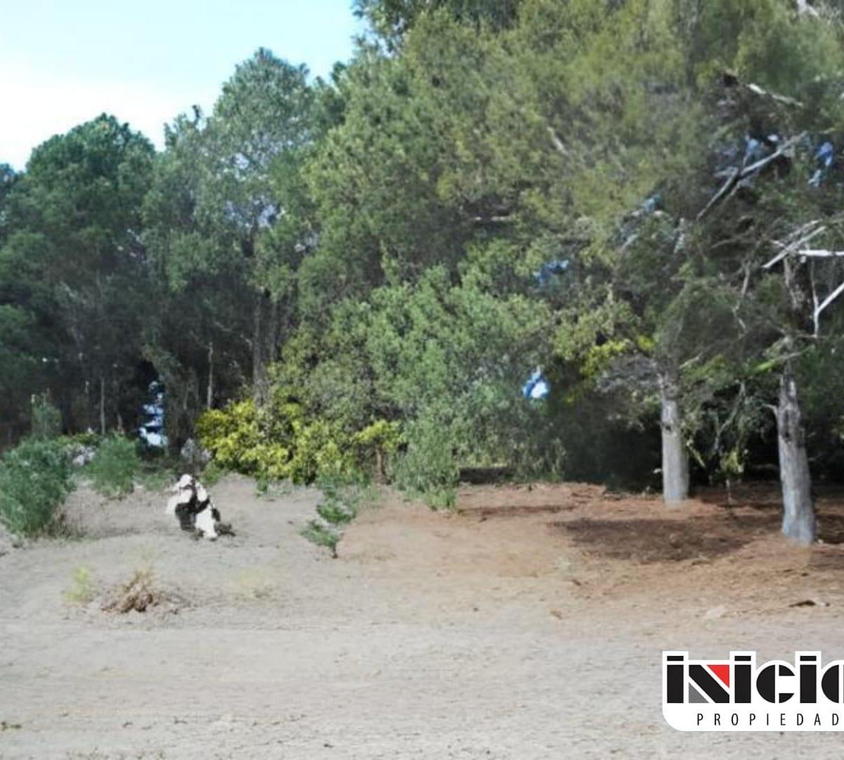 Lote: Dolores E/ Diagonal Maipú y Suárez - Nueva Atlantis - B475 1