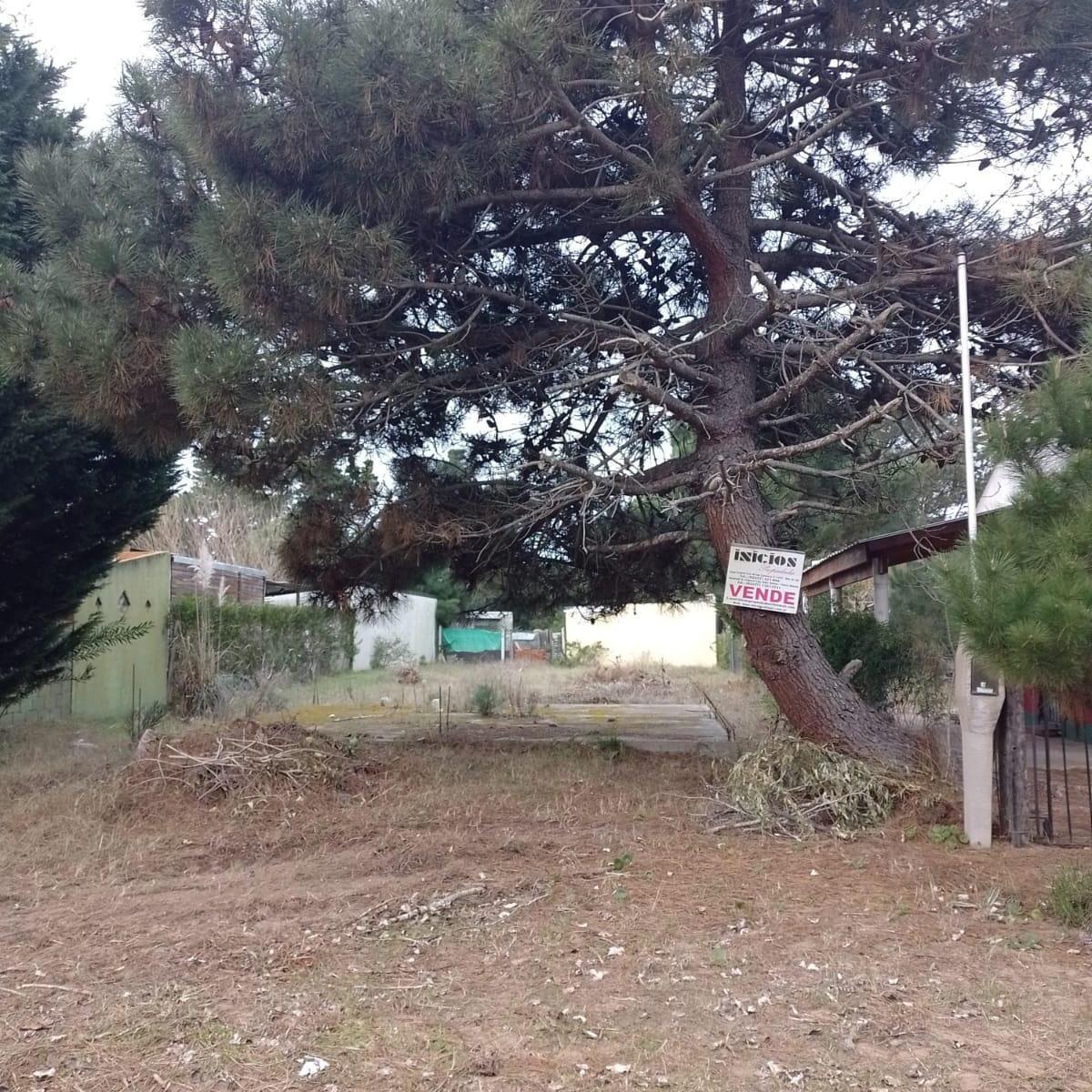 Lote: Caseros E/ Blanco y Diag. Maipú - Nueva Atlantis - B338 2