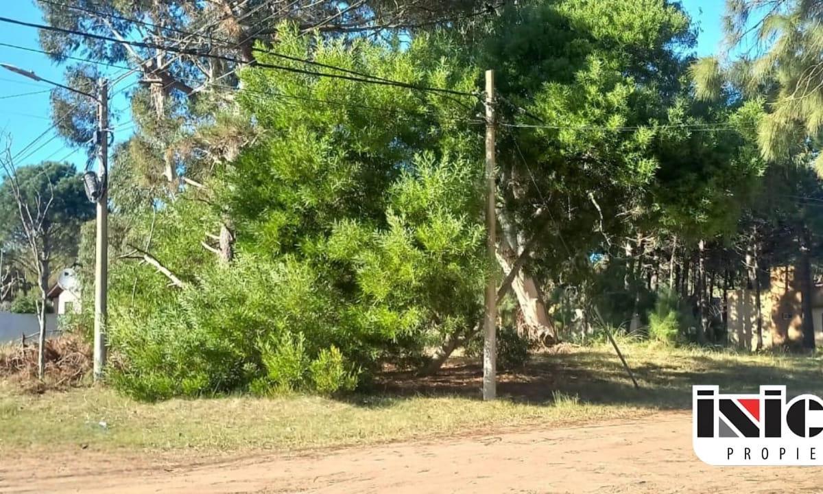 Lote: Av Roldán Esq. La Margarita - Nueva Atlantis - B738 1