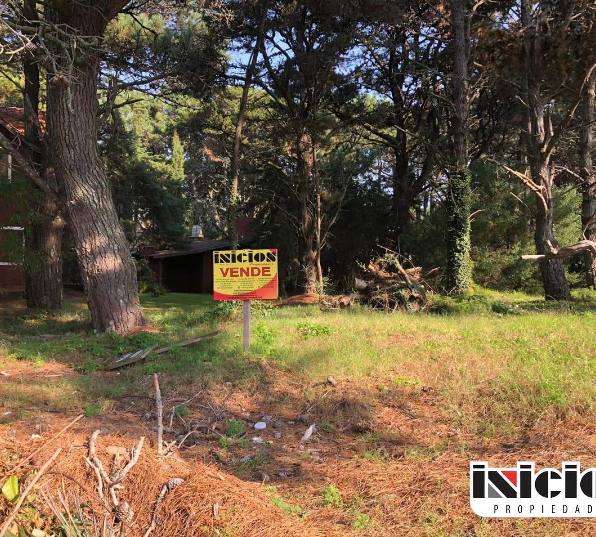 Lote: Las Amapolas E/ Av 3 y Av 4 - Costa del Este - B530 2