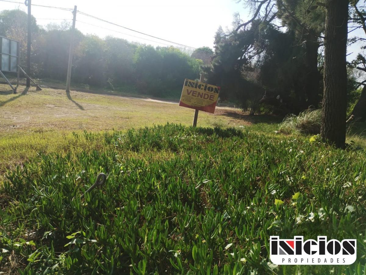 Lote: Las Camelias esq. Av. 1 - Costa del Este - B667