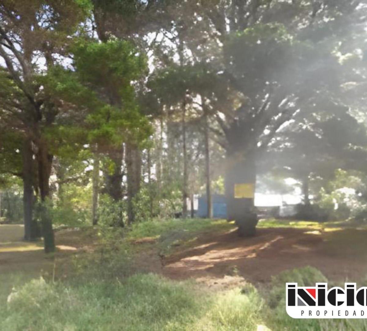 Lote: La Margarita e/ Av. Drago y Storni - Nueva Atlantis - B293 