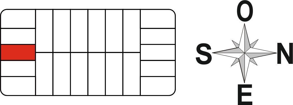 Plano 5