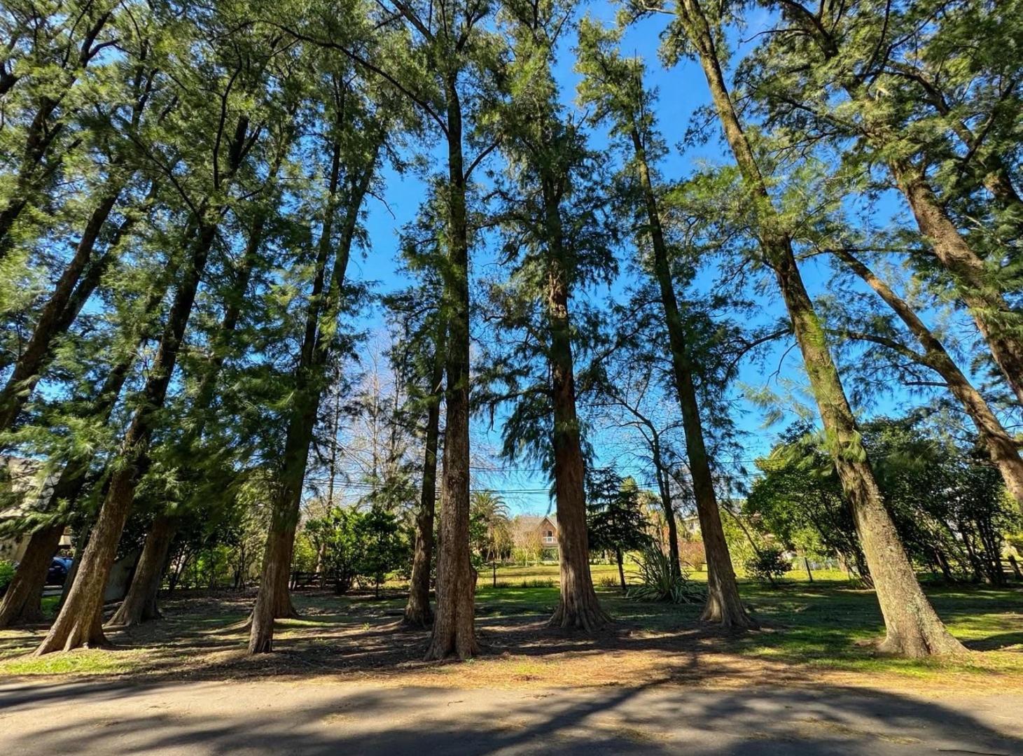 Foto de Terreno - San Diego C.C, imagen 4