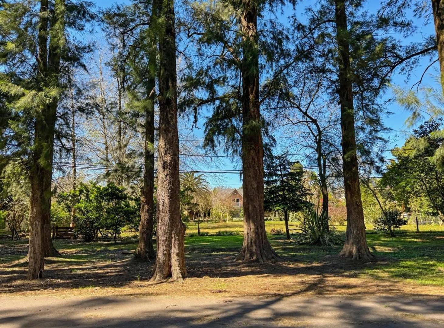 Foto de Terreno - San Diego C.C, imagen 2