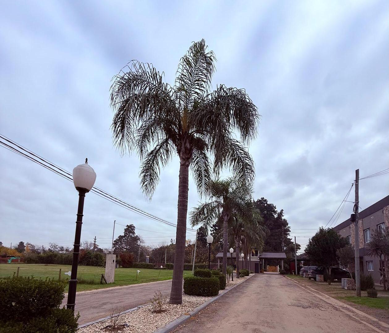 Foto de Terreno en M.Paz Urbano, imagen 2