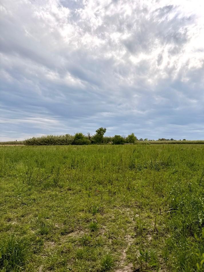 Foto de Campo de 3,5 hectareas en venta, imagen 5