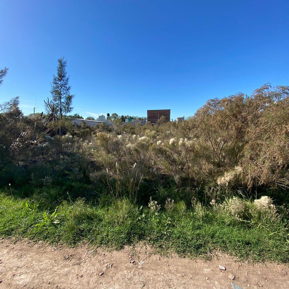 Venta de lote en parque Sicardi calle 655 entre 17 y 18