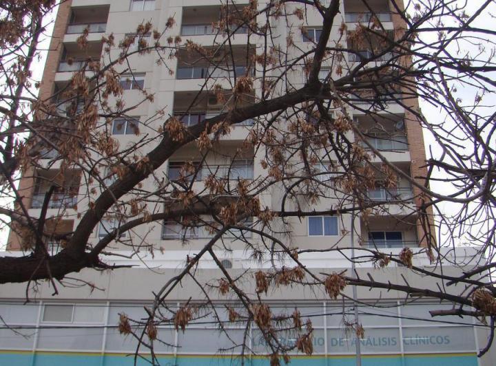 VENTA DPTO 2 HAB - MENDOZA AL 100 4