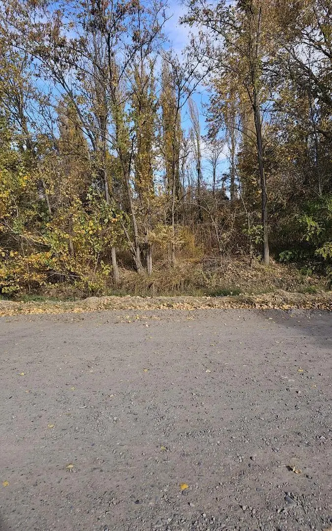 Terreno en Confluencia Rural 5