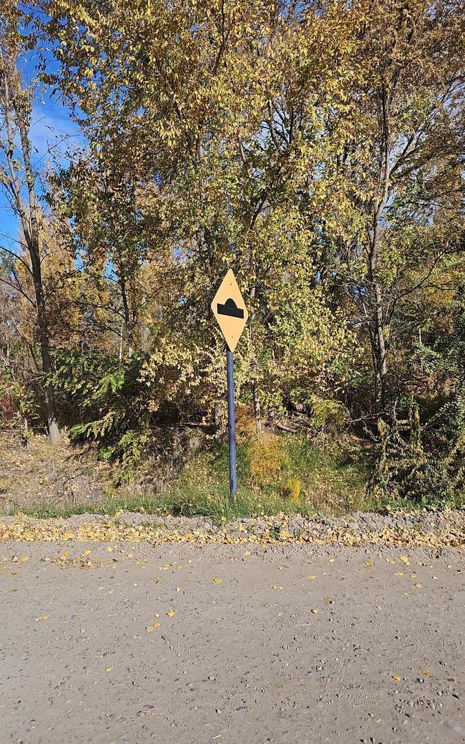 Foto de Terreno en Confluencia Rural, imagen 4