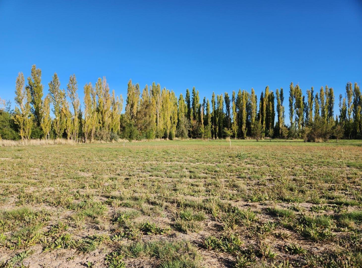Foto de Terreno en General Fernandez Oro, imagen 1