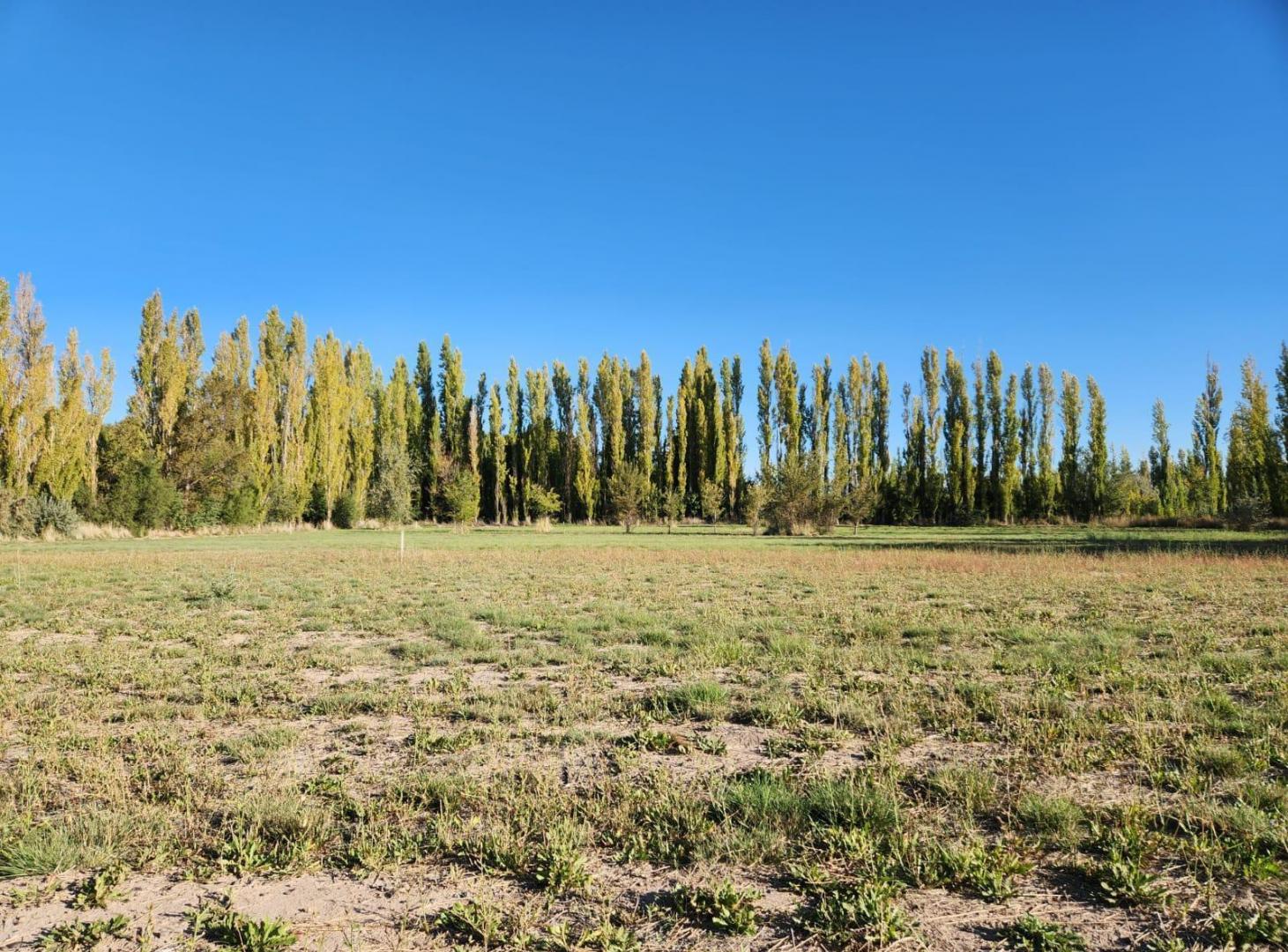 Foto de Terreno en General Fernandez Oro, imagen 3