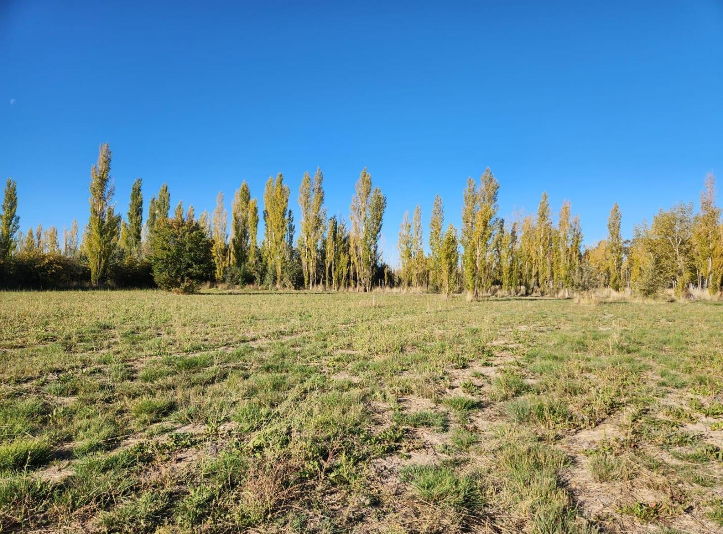 Foto de Terreno en General Fernandez Oro, imagen 2
