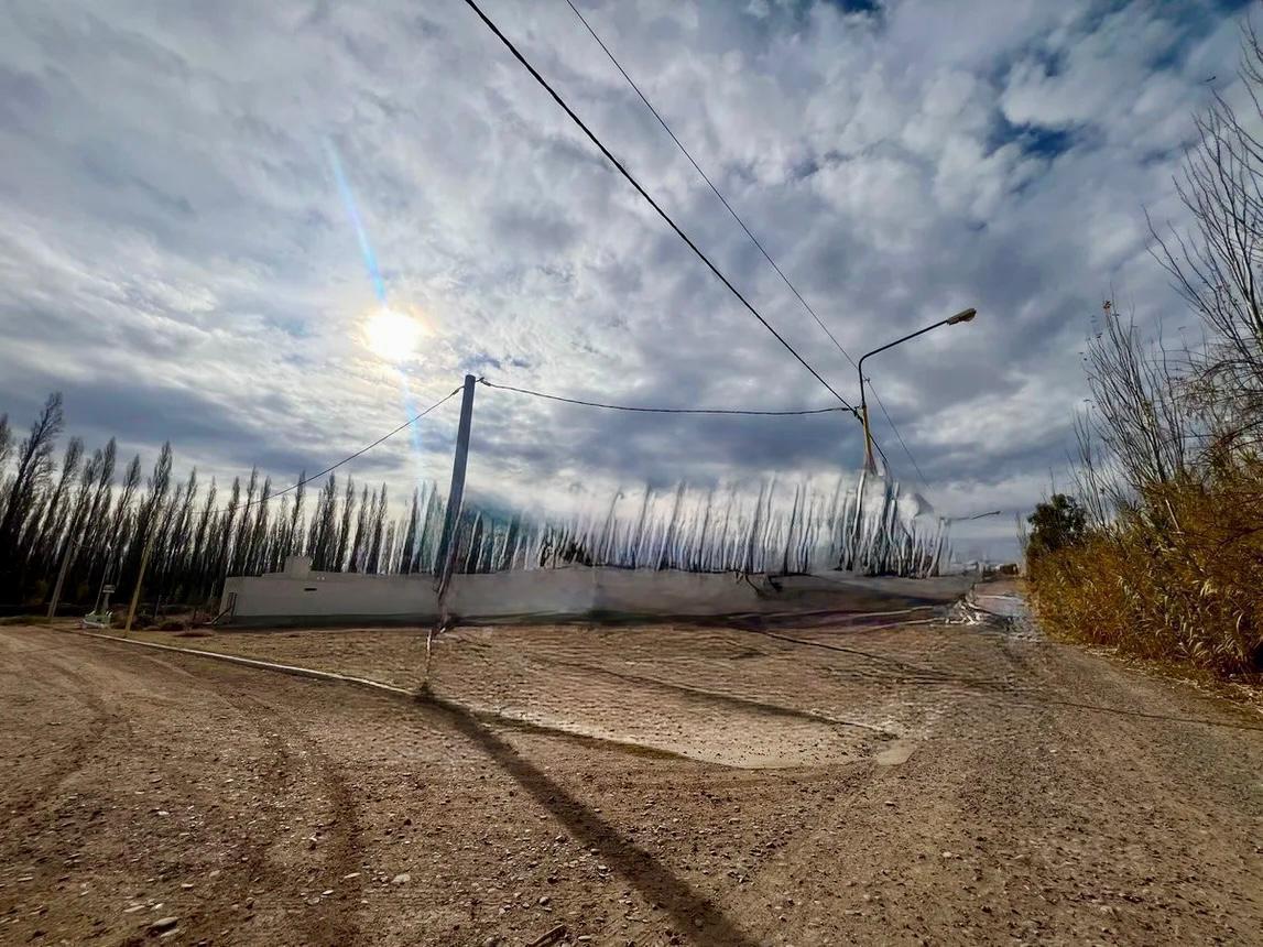 Foto de Terreno en Barrio Don Pater en Centenario, imagen 2