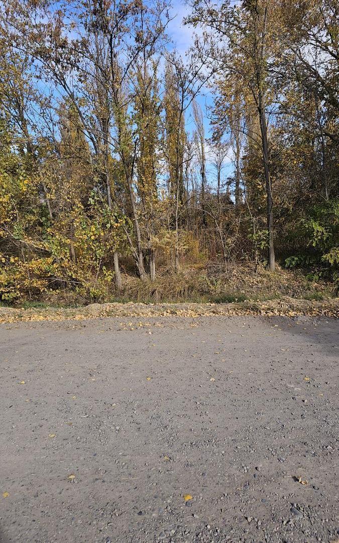 Foto de Terreno en Confluencia Rural, imagen 4