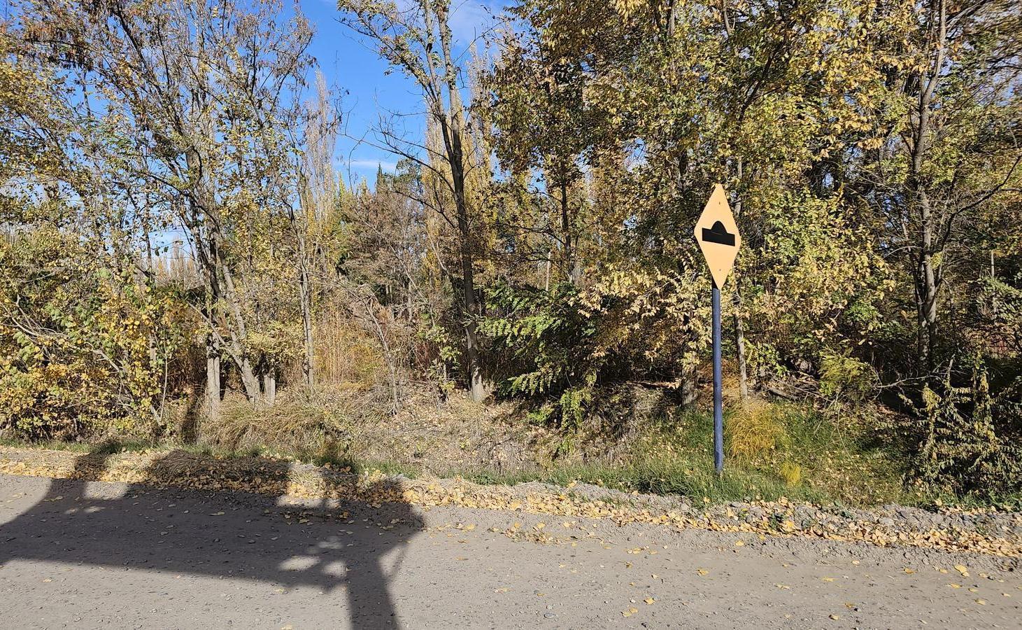 Foto de Terreno en Confluencia Rural, imagen 3