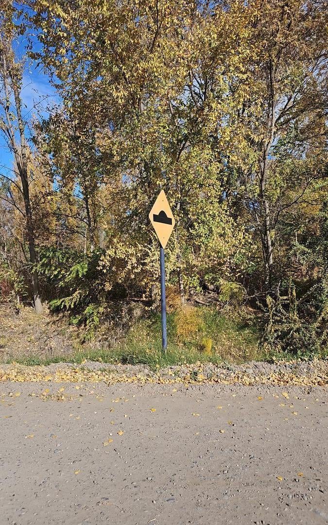 Foto de Terreno en Confluencia Rural, imagen 2