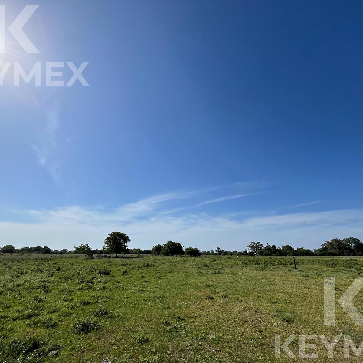 Campo en Magdalena-Atalaya