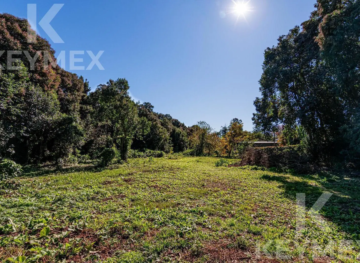Venta Terreno en Chascomús 4