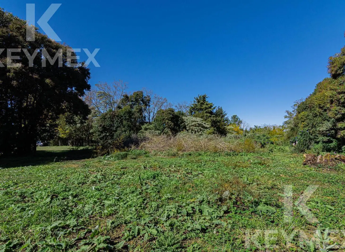 Venta Terreno en Chascomús 5