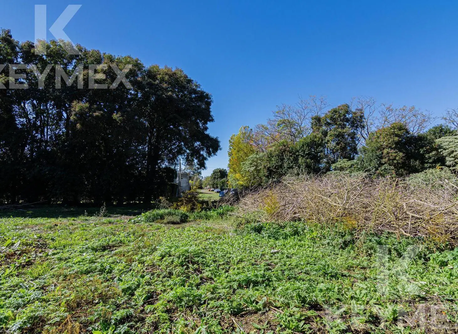 Venta Terreno en Chascomús 3