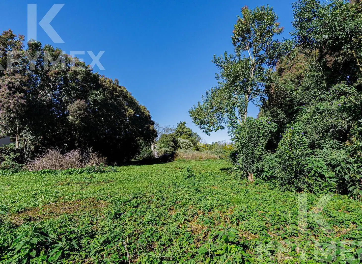 Venta Terreno en Chascomús 8