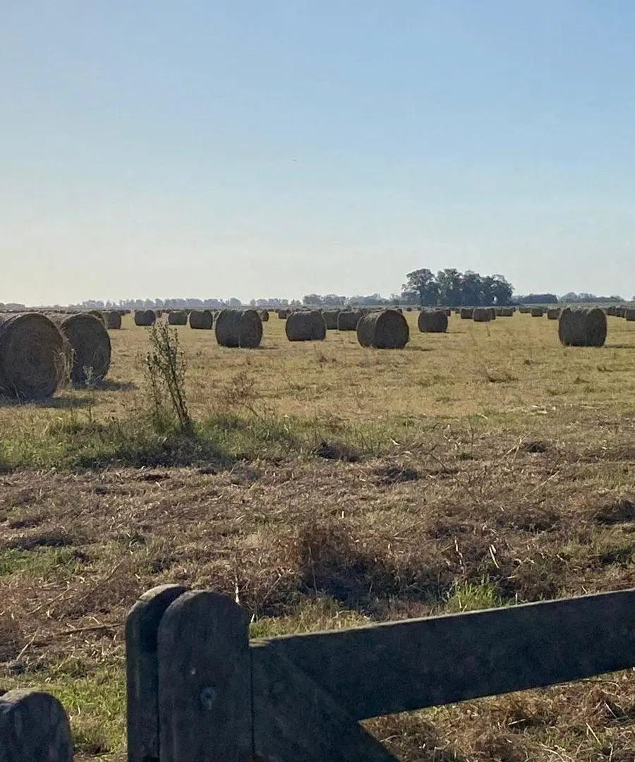 VENTA CAMPO 16 HA CON 2 CASAS Y ´PILETA  SUIPACHA 5