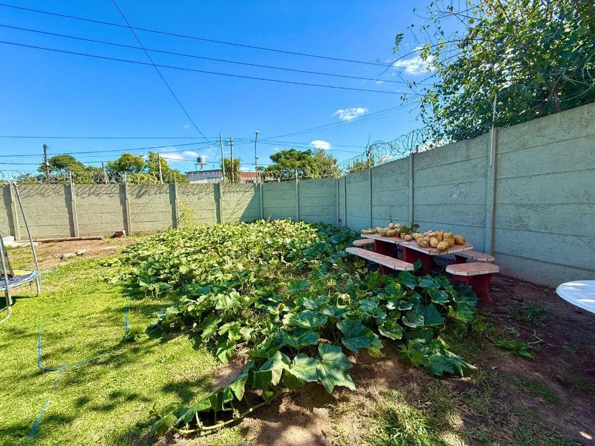 LOTE EN VENTA 4