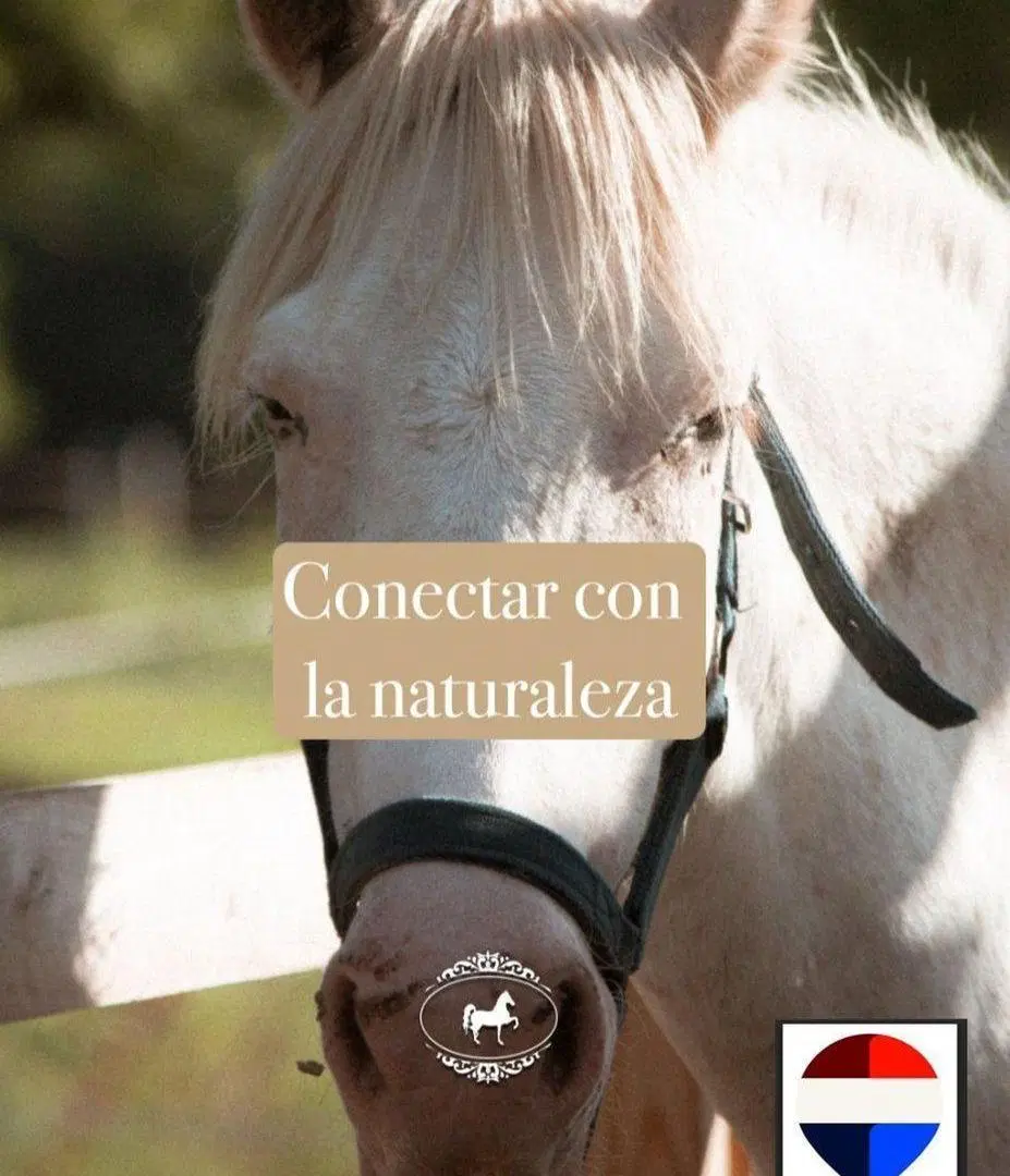 VENTA LOTE CLUB CAMPO FINCAS EXCLUSIVAS CARDALES 5