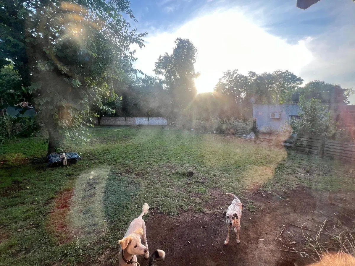 CASA VENTA 3 AMB A TERMINAR V. DEL PINO FOND LIBRE 4