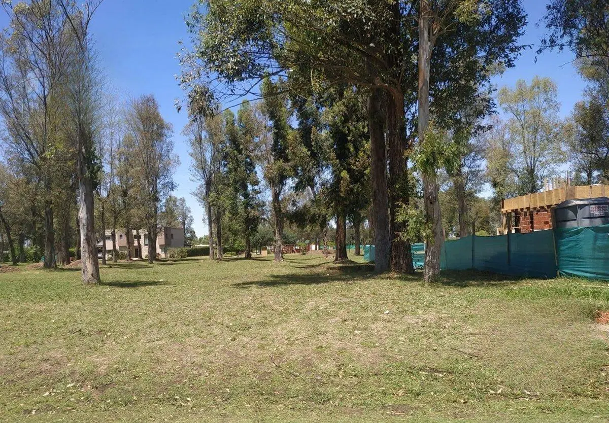 LOTE CENTRAL 600M2 EN ALVAREZ DEL BOSQUE MORENO 5