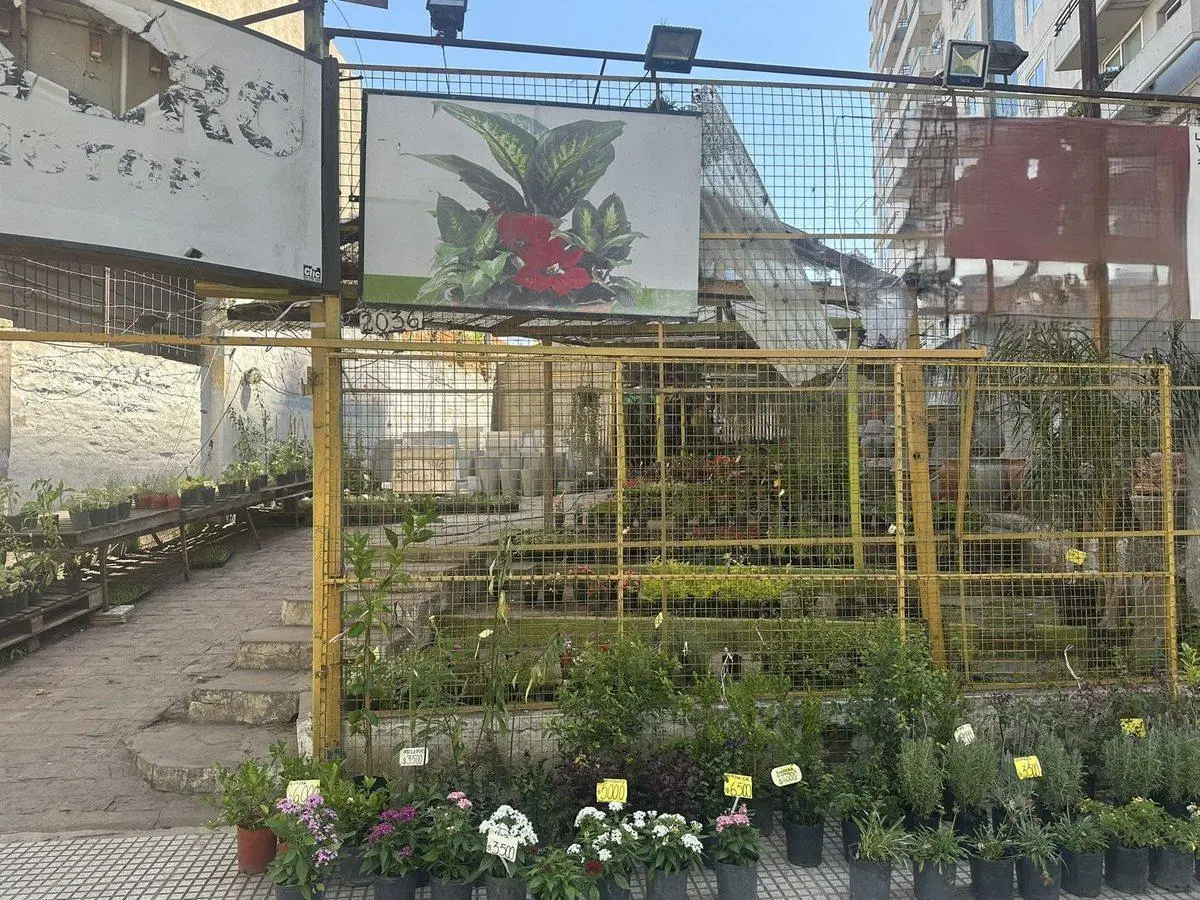 VENTA LOTE  PARA EMPRENDIMIENTO BECCAR CENTRO 2