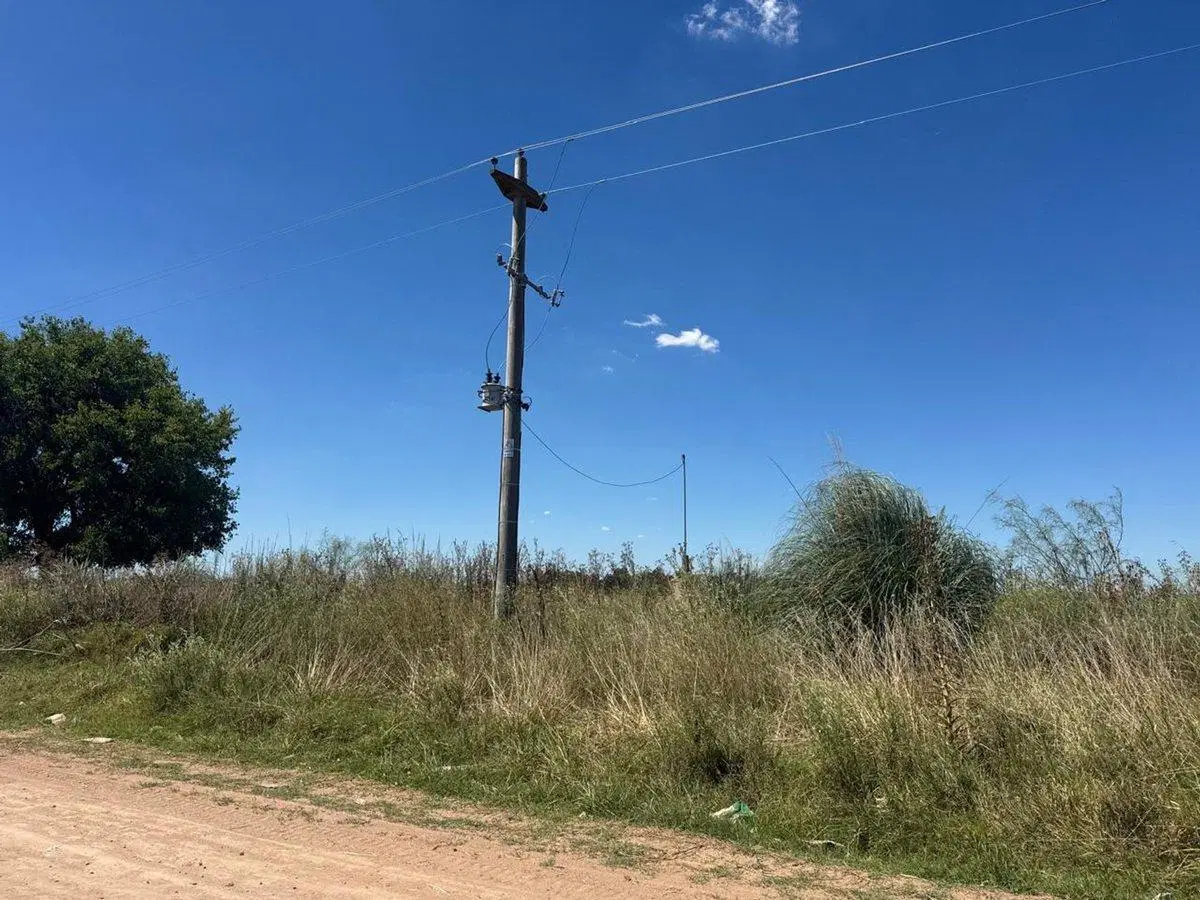 VENTA 1.5 HECTAREAS EN  SAN MIGUEL DEL MONTE 4