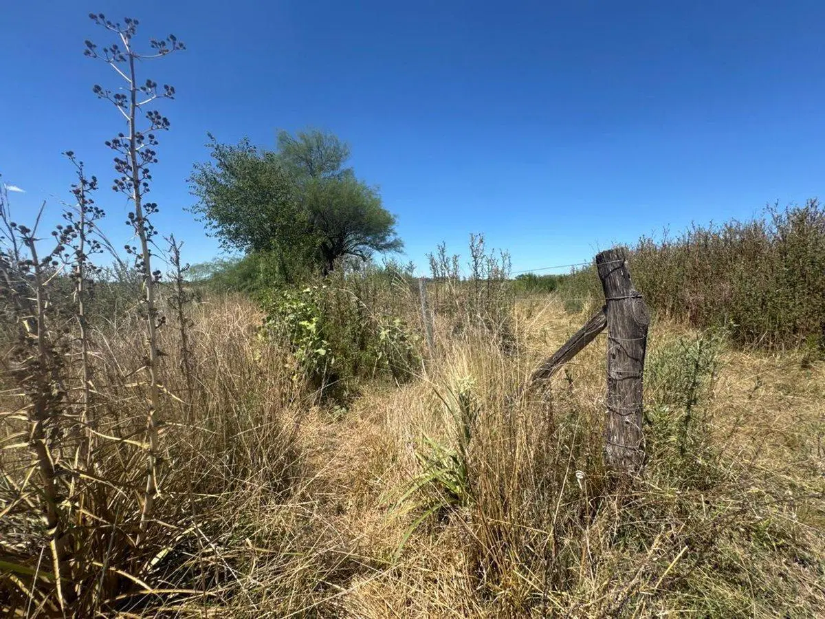 VENTA 1.5 HECTAREAS EN  SAN MIGUEL DEL MONTE 5