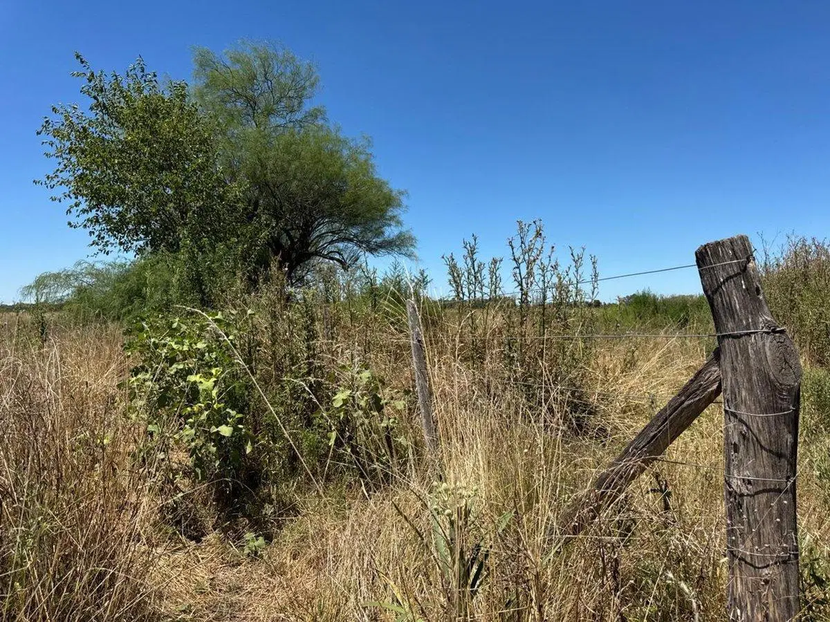 VENTA 1.5 HECTAREAS EN  SAN MIGUEL DEL MONTE 2