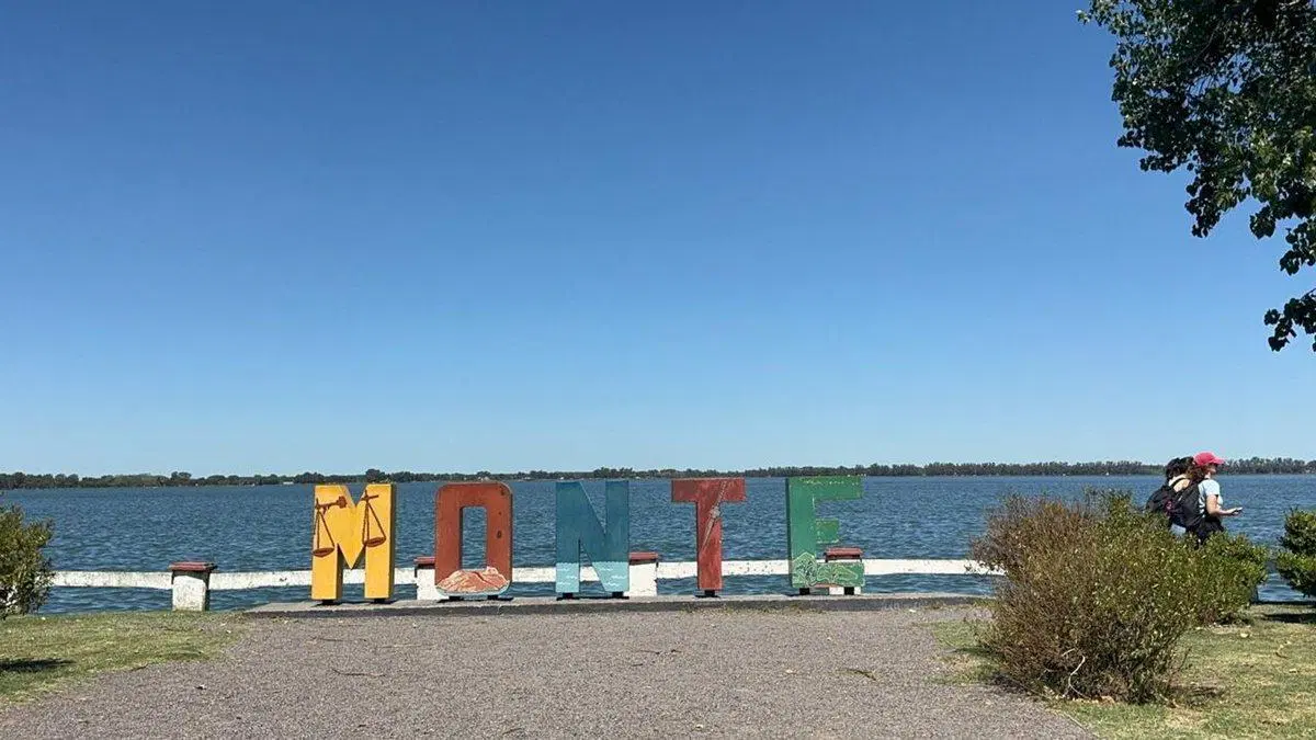 VENTA 10.5 HECTAREAS EN SAN MIGUEL DEL MONTE 3