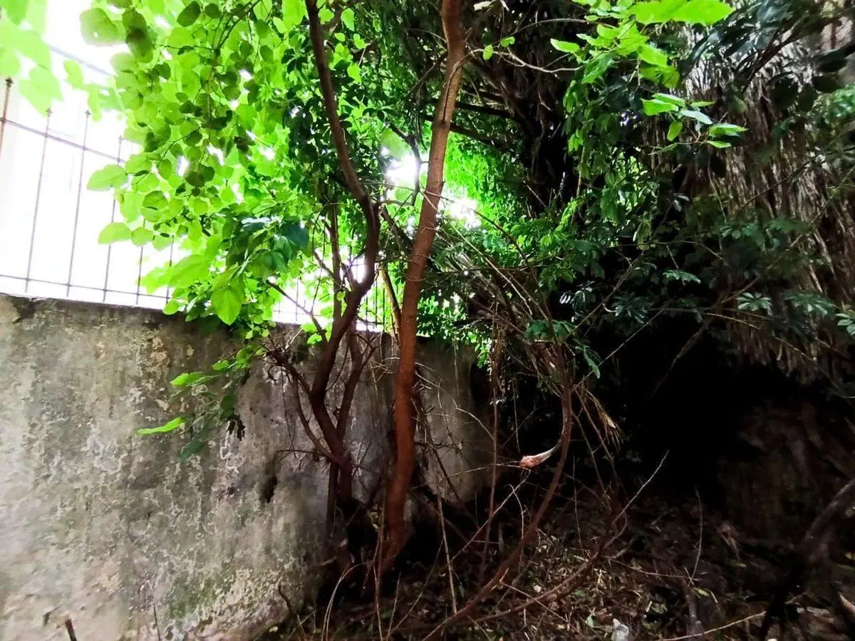 VENTA CASA 4 AMB A RECICLAR EN RAMOS MEJIA 5