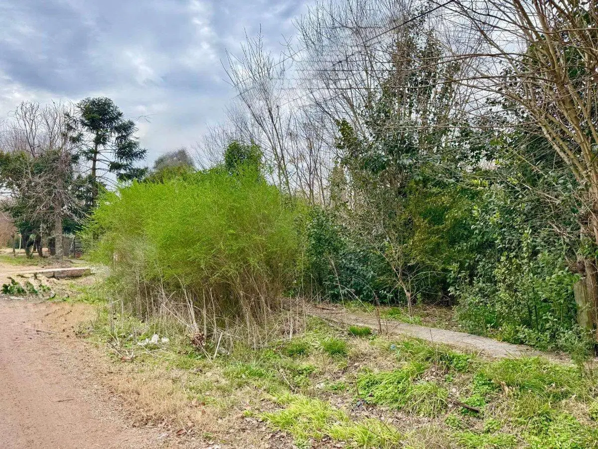 LOTE EN VENTA EN LAGUNA DE LOBOS 3